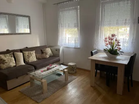 Rent, one bedroom apartment, 34m², Salajka, Novi Sad Sve Podlokacije - image 3
