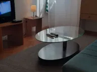 Izdavanje, dvosoban stan, 40m², Golubovina, Budva - image 2