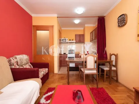 Izdavanje, jednosoban stan, 36m², Stari Aerodrom, Podgorica - image 4