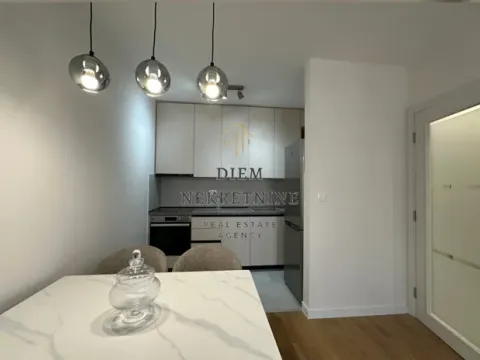 Izdavanje, jednosoban stan, 49m², Central Point, Podgorica - image 6