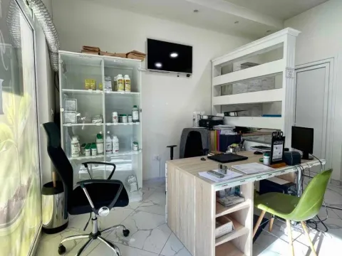 Poslovni prostor in Blok 9