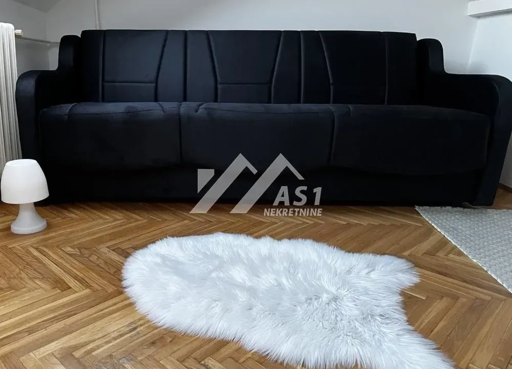 Rent, apartment, 20m², Bulevar Oslobodjenja, Novi Sad Sve Podlokacije