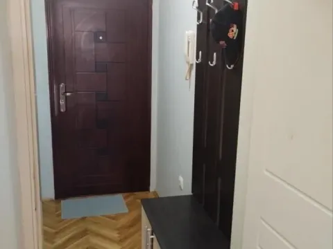 Izdavanje, garsonjera, 24m², Nova Detelinara, Novi Sad Sve Podlokacije - image 7