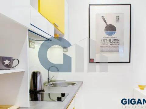 Prodaja, stan, 250m², Savski Venac, Beograd - image 16