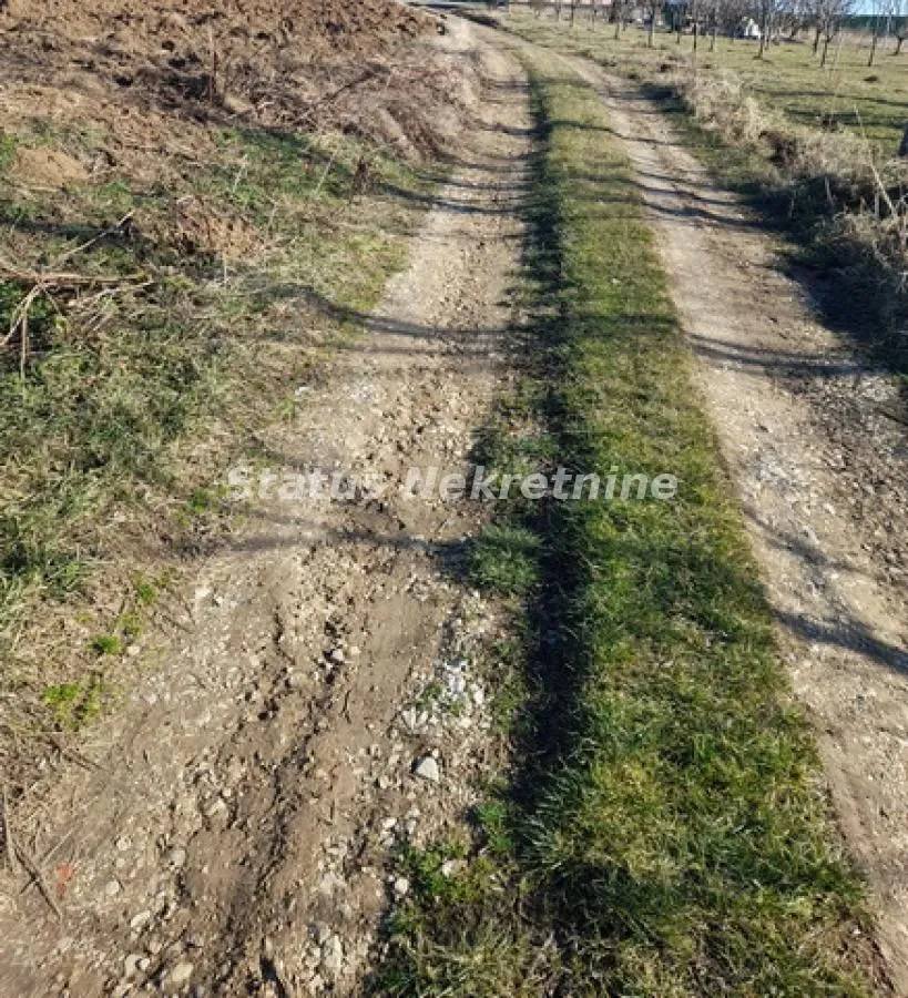 Prodaja, plac, 5479m², Banja Vrdnik, Irig