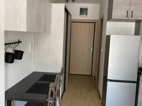 Sale, studio apartment, 30m², Golubovina, Budva - image 4