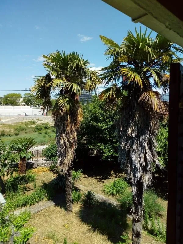 Prodaja, kuća, 550m², Gorica C, Podgorica