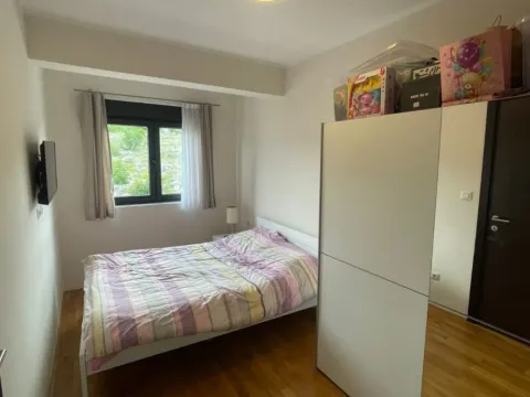 Izdavanje, jednosoban stan, 45m², Vezirov Most, Podgorica - image 2