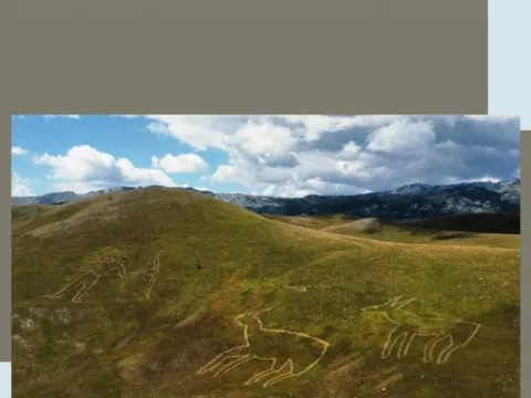 Prodaja, plac, 110000m², Novakovići, Žabljak - image 4