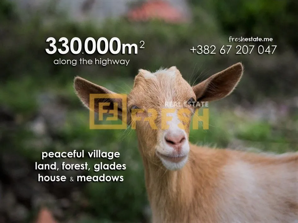 Prodaja, plac, 330000m², Plužine, Crna Gora