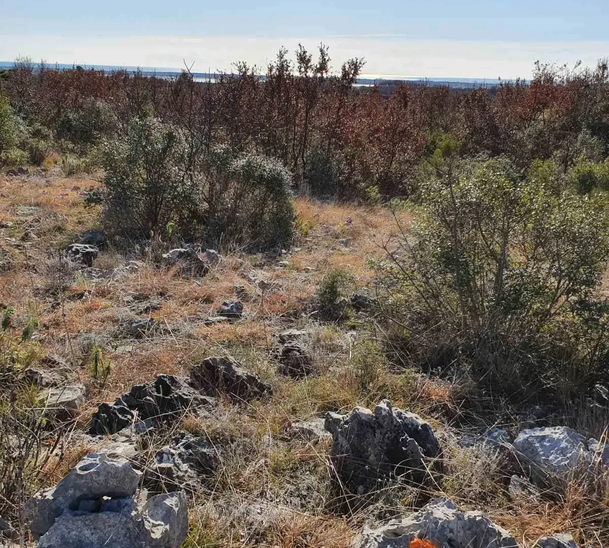 Prodaja, plac, 17926m², Ulcinj, Crna Gora