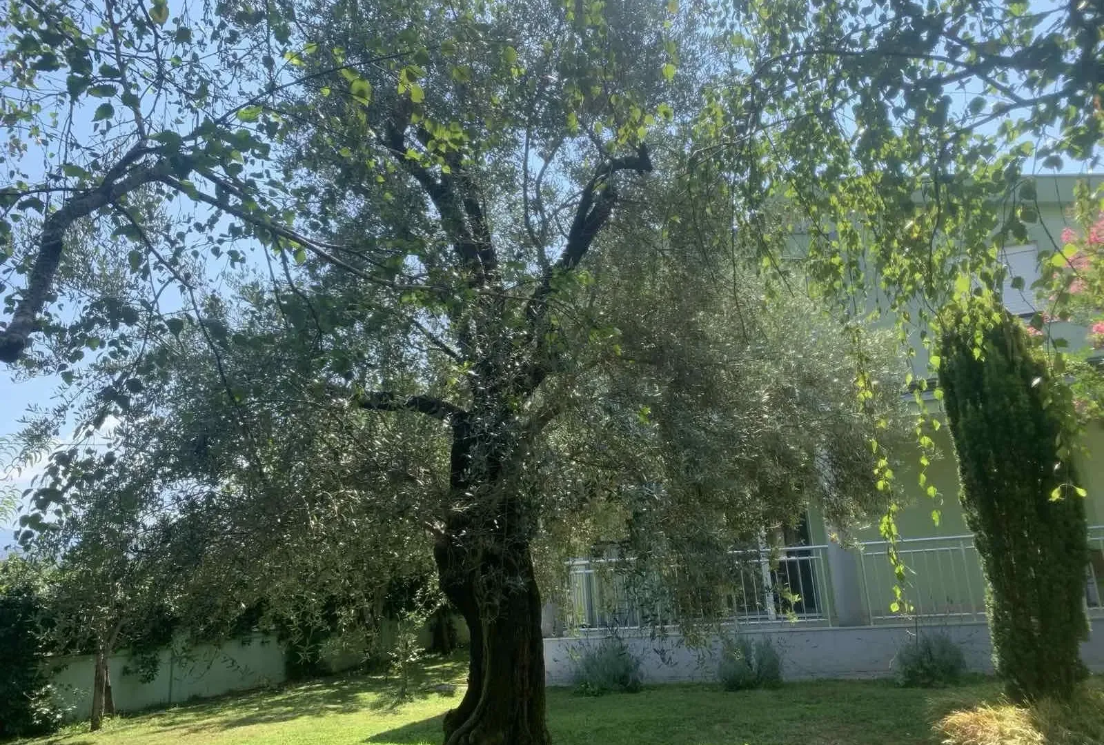 Prodaja, kuća, 175m², Podgorica, Crna Gora