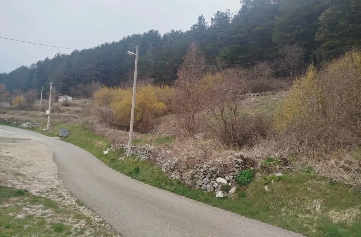 Pogled na plac sa putem i rastinjem.