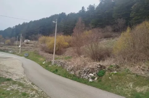 Pogled na plac sa putem i rastinjem. - image 2