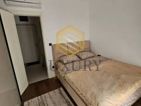 Izdavanje, jednosoban stan, 45m², Centar, Podgorica - image 2