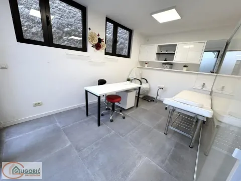 Izdavanje, poslovni prostor, 60m², Južni Bulevar, Vračar Sve Podlokacije - image 9