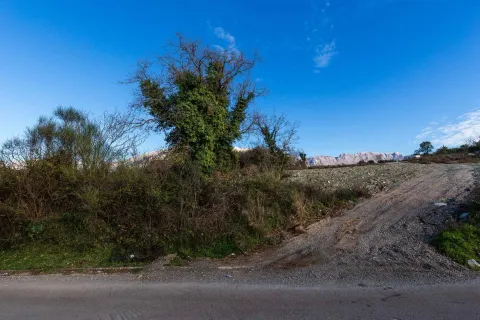 Prilazni put i rastinje na placu sa pogledom na planine. - image 3
