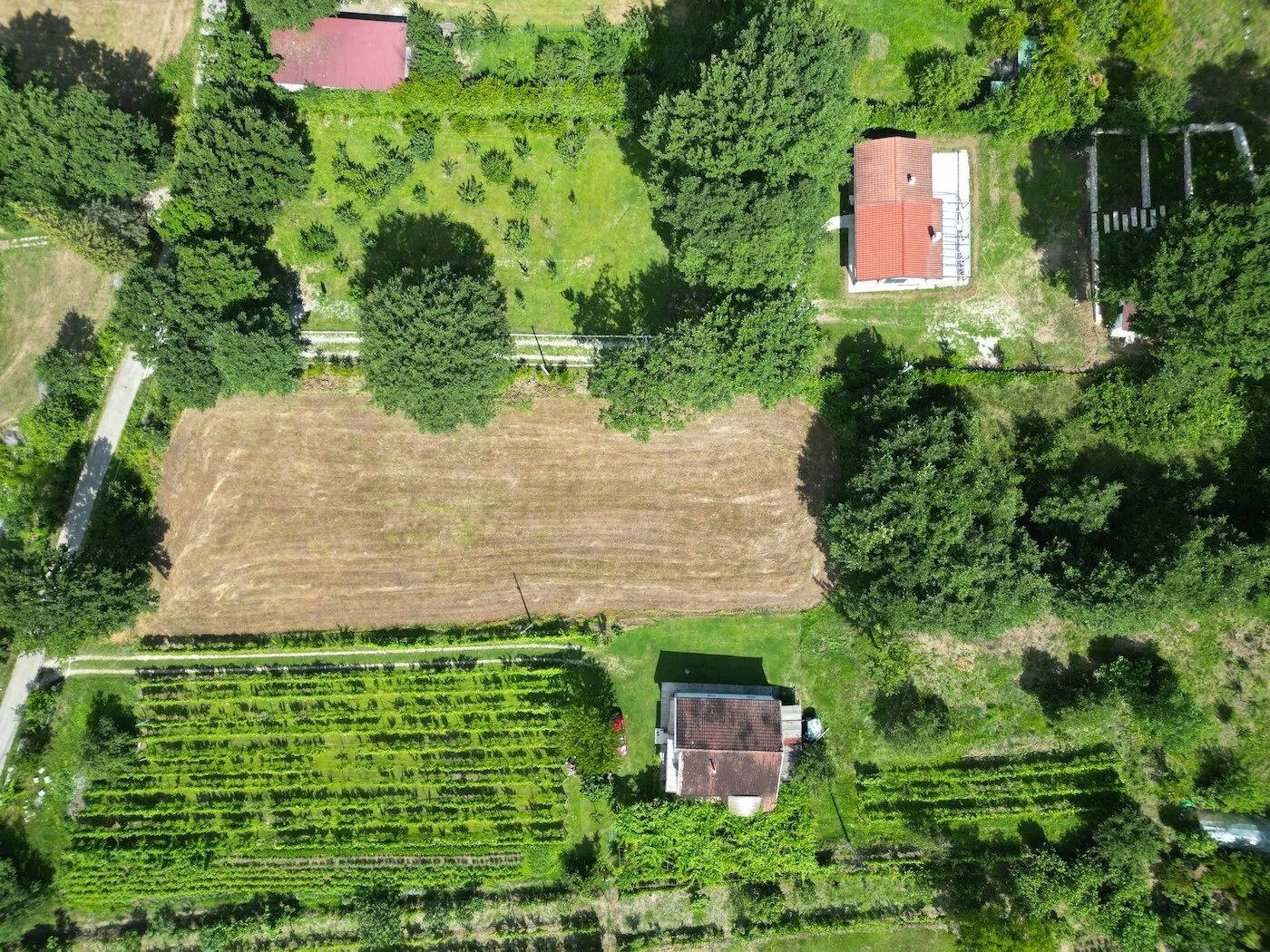 Prodaja, plac, 3775m², Frutak, Danilovgrad