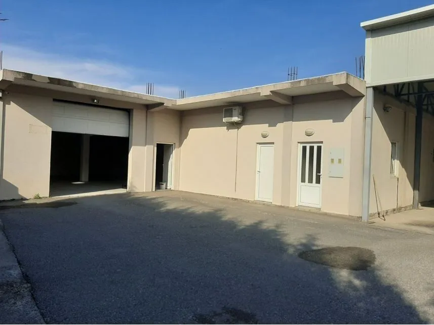 Exterior of a commercial building with a spacious driveway and garage doors.