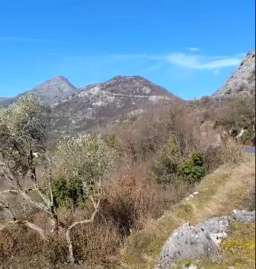 Sale, land lot, 165000m², Cetinje, Crna Gora