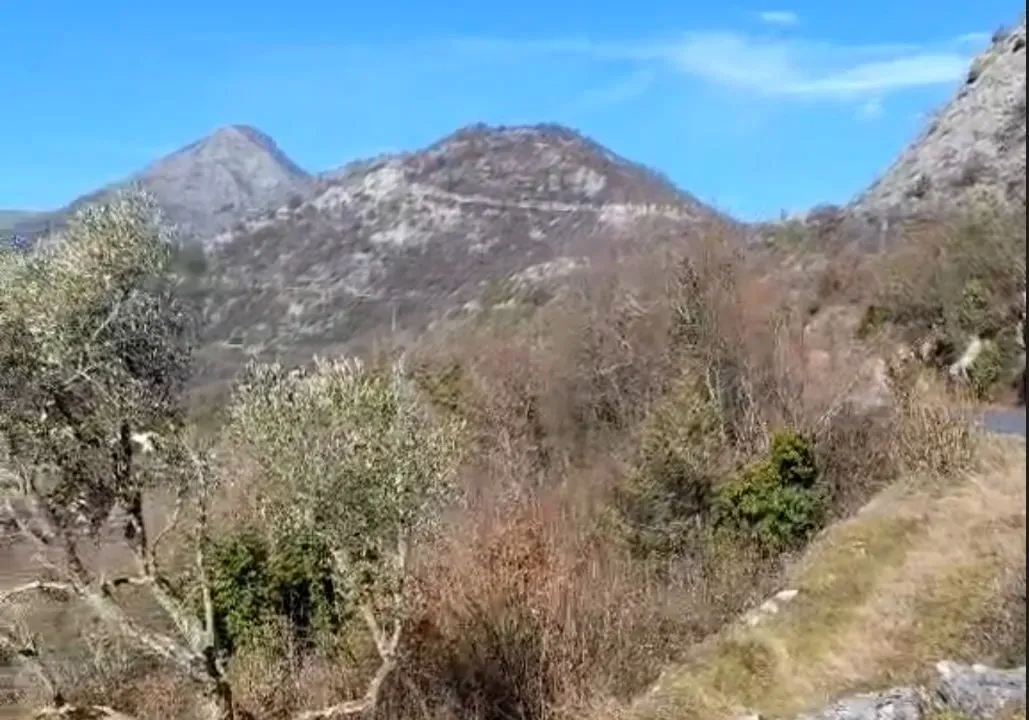 Prodaja, plac, 165000m², Cetinje, Crna Gora