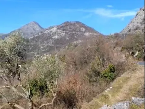 Prodaja, plac, 165000m², Cetinje, Crna Gora