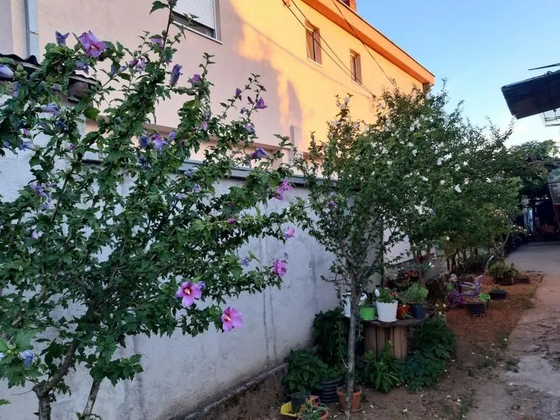 Prodaja, kuća, 110m², Gornja Gorica, Podgorica