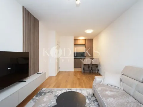 Izdavanje, jednosoban stan, 47m², Central Point, Podgorica - image 2