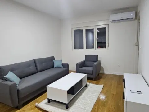 Izdavanje, jednosoban stan, 49m², Central Point, Podgorica - image 8