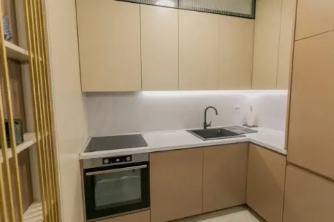 Modern kitchen with built-in oven, hob, and sink. - image 7