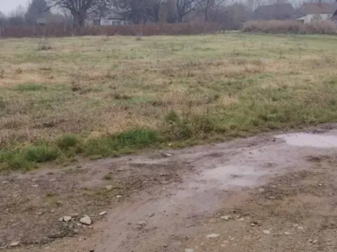 Zemljište in Loznica