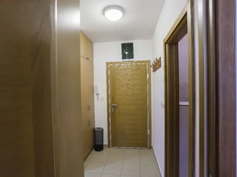 Izdavanje, jednosoban stan, 50m², Seljanovo, Tivat - image 8