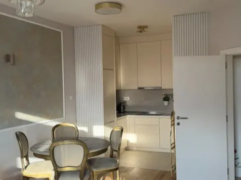 Izdavanje, jednosoban stan, 47m², Podgorica, Crna Gora - image 1