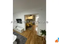 Izdavanje, dvosoban stan, 60m², Savski Venac, Beograd - image 4