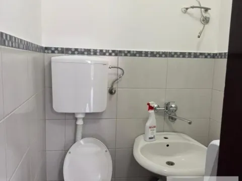 Izdavanje, poslovni prostor, 150m², Centar, Pančevo - image 2