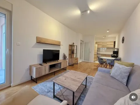 Prodaja, jednosoban stan, 46m², Central Point, Podgorica - image 10