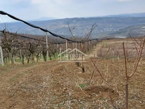 Prodaja, plac, 32477m², Begaljica, Grocka - image 5