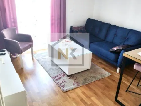 Izdavanje, jednosoban stan, 36m², Stari Aerodrom, Podgorica - image 4