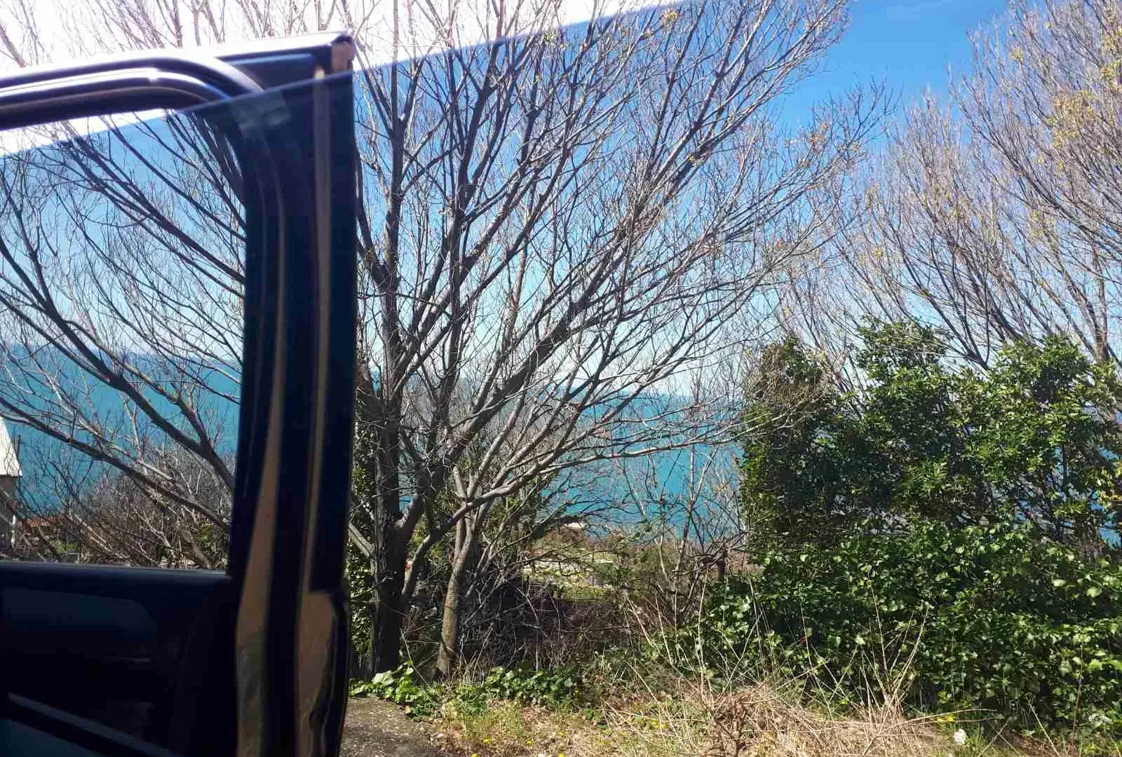 Prodaja, plac, 310m², Budva, Crna Gora