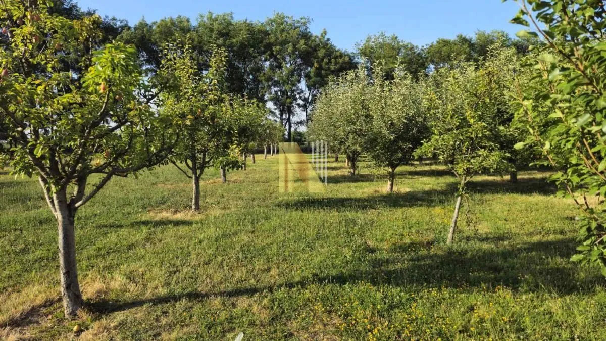 Prodaja, kuća, 230m², Srbobran, Novi Sad