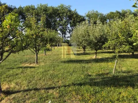 Sale, house, 230m², Srbobran, Novi Sad - image 54