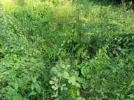 Prodaja, plac, 1589m², Utjeha, Bar - image 6