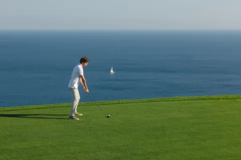 Travnjak sa pogledom na more i osobu koja igra golf. - image 11
