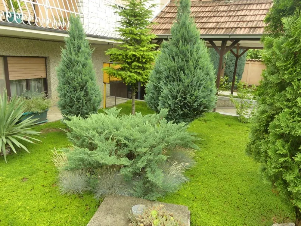 Prodaja, kuća, 320m², Trnava, Jagodina