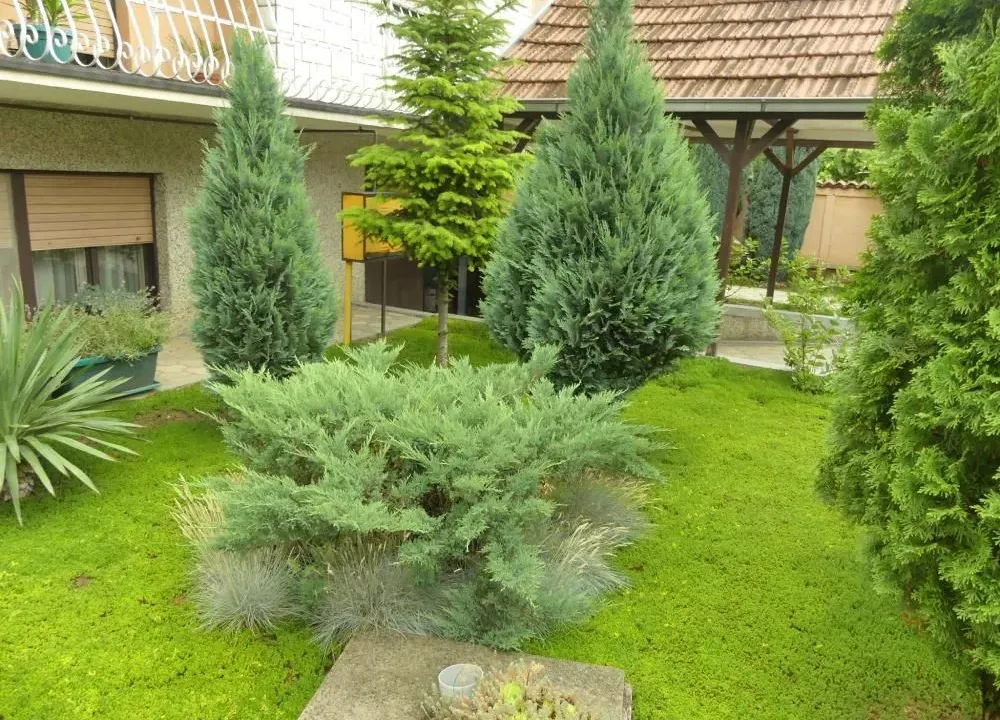 Prodaja, kuća, 320m², Trnava, Jagodina