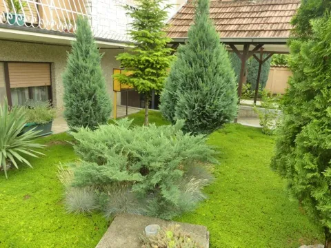 Sale, house, 320m², Trnava, Jagodina