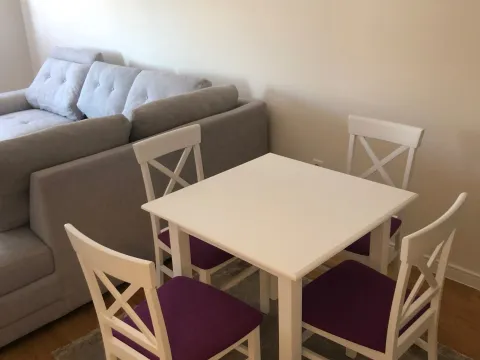 Rent, one bedroom apartment, 46m², Central Point, Podgorica - image 7