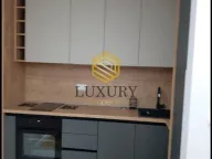 Izdavanje, jednosoban stan, 50m², Central Point, Podgorica - image 2