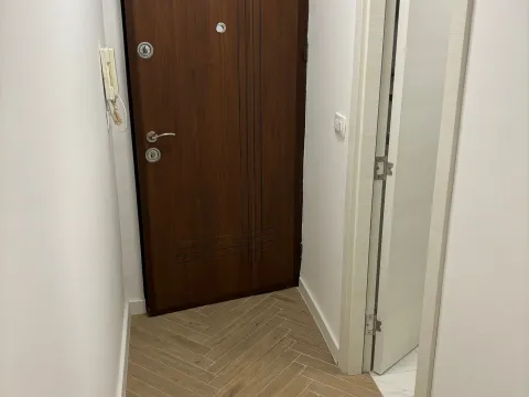 Rent, studio apartment, 28m², Gintaš, Podgorica - image 3