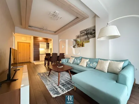 Izdavanje, jednosoban stan, 50m², Vezirov Most, Podgorica - image 3